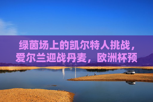 绿茵场上的凯尔特人挑战,爱尔兰迎战丹麦,欧洲杯预赛生死战,爱尔兰vs丹麦!欧洲杯预赛生死战