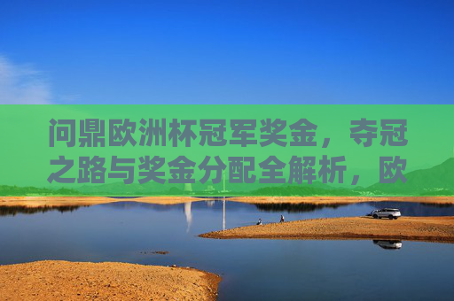 问鼎欧洲杯冠军奖金,夺冠之路与奖金分配全解析,欧洲杯冠军奖金全解析,问鼎之路与分配机制