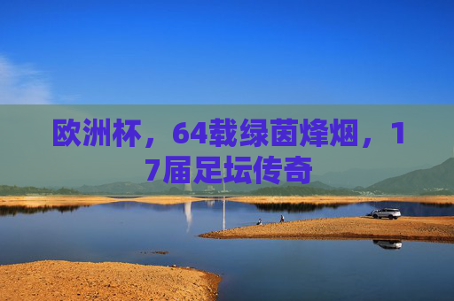 欧洲杯,64载绿茵烽烟,17届足坛传奇