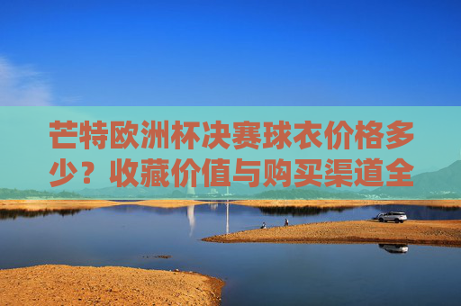 芒特欧洲杯决赛球衣价格多少？收藏价值与购买渠道全解析，芒特欧洲杯决赛球衣，价格、收藏价值与购买渠道全解析