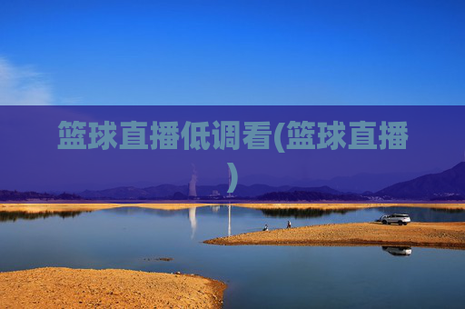 篮球直播低调看(篮球直播)