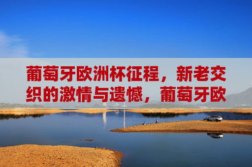 葡萄牙欧洲杯征程,新老交织的激情与遗憾,葡萄牙欧洲杯,新老交织的激情与遗憾