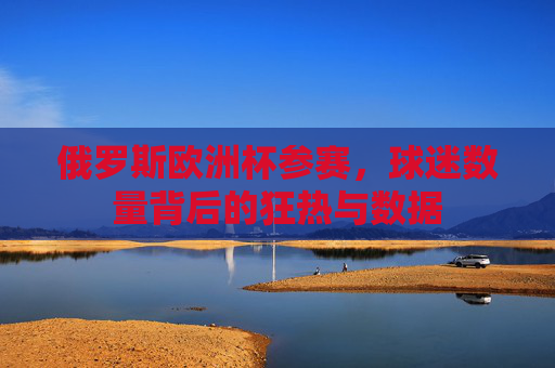 俄罗斯欧洲杯参赛,球迷数量背后的狂热与数据