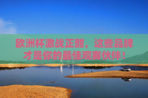 欧洲杯激战正酣,这些品牌才是你的最佳观赛伙伴!