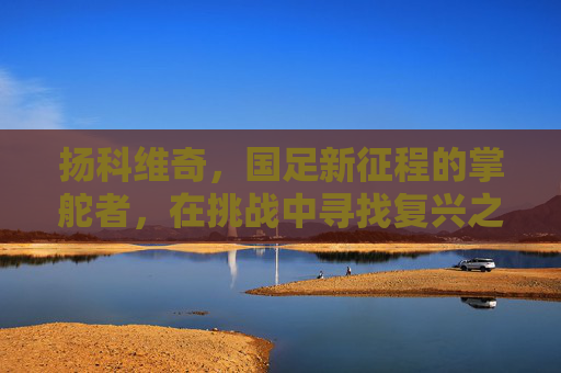 扬科维奇,国足新征程的掌舵者,在挑战中寻找复兴之路,扬科维奇领航国足新征程,在挑战中觅复兴之路