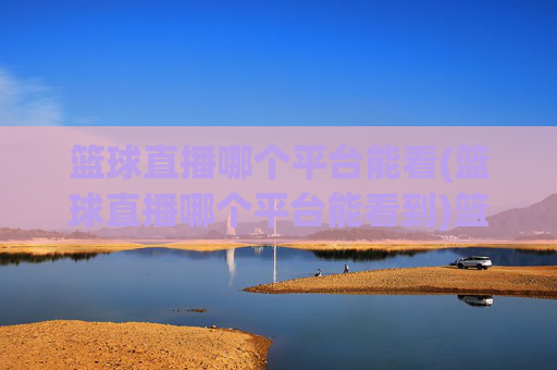篮球直播哪个平台能看(篮球直播哪个平台能看到)篮球直播哪个平台能看