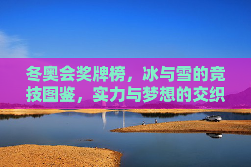 冬奥会奖牌榜,冰与雪的竞技图鉴,实力与梦想的交织,冬奥奖牌榜,冰与雪竞技的实力与梦想交织