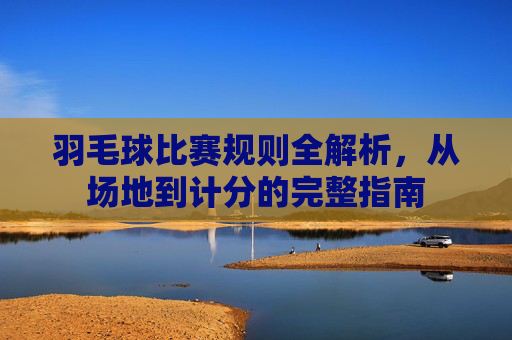 羽毛球比赛规则全解析,从场地到计分的完整指南