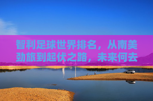 智利足球世界排名,从南美劲旅到起伏之路,未来何去何从?智利足球,南美劲旅的起伏与未来之问