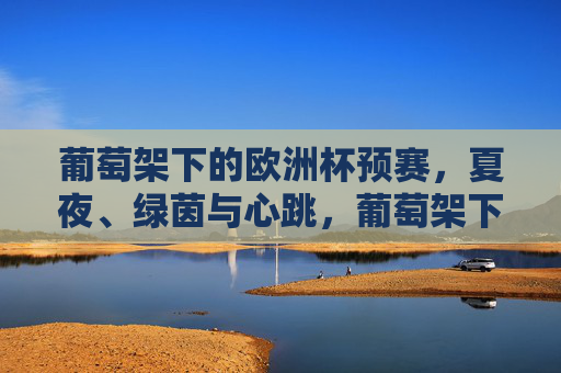 葡萄架下的欧洲杯预赛,夏夜、绿茵与心跳,葡萄架下的欧洲杯预赛,夏夜绿茵与心跳