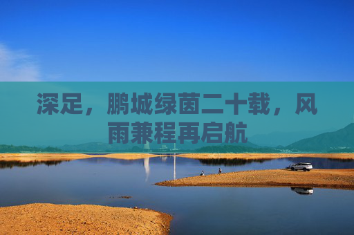 深足,鹏城绿茵二十载,风雨兼程再启航