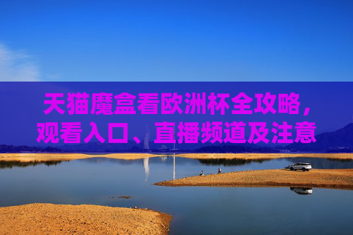 天猫魔盒看欧洲杯全攻略,观看入口、直播频道及注意事项,天猫魔盒看欧洲杯全攻略,入口、频道及注意事项
