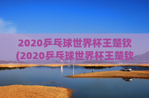 2020乒乓球世界杯王楚钦(2020乒乓球世界杯王楚钦参加了吗)