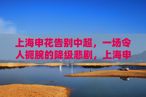 上海申花告别中超,一场令人扼腕的降级悲剧,上海申花降级告别中超,一场扼腕悲剧