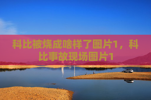 科比被烧成啥样了图片1,科比事故现场图片1
