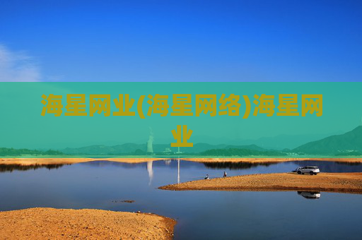 海星网业(海星网络)海星网业