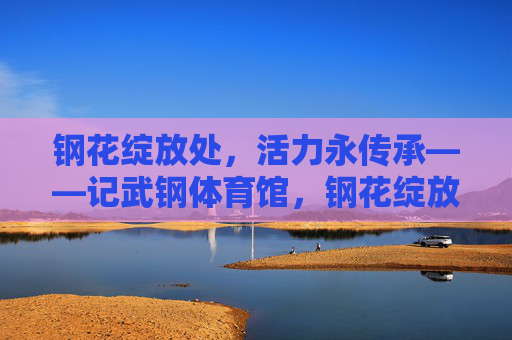 钢花绽放处，活力永传承——记武钢体育馆，钢花绽放处，活力永传承——武钢体育馆