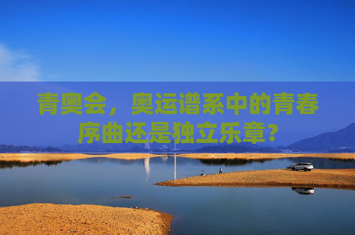 青奥会,奥运谱系中的青春序曲还是独立乐章?