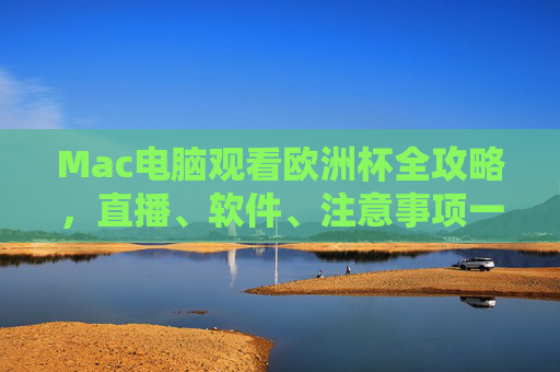 Mac电脑观看欧洲杯全攻略，直播、软件、注意事项一应俱全，Mac观看欧洲杯全攻略，直播、软件、注意事项一应俱全