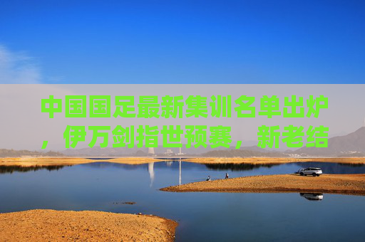 中国国足最新集训名单出炉，伊万剑指世预赛，新老结合引关注，国足最新集训名单，伊万剑指世预赛，新老结合引关注
