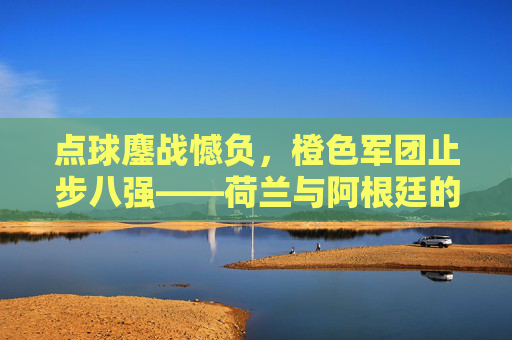 点球鏖战憾负,橙色军团止步八强——荷兰与阿根廷的世界杯经典对决,点球鏖战憾负,荷兰止步八强战阿根廷世界杯