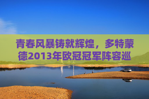 青春风暴铸就辉煌,多特蒙德2013年欧冠冠军阵容巡礼,青春风暴铸就辉煌,多特蒙德2013年欧冠冠军阵容巡礼