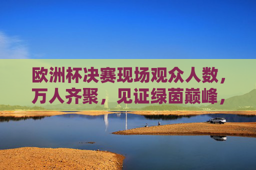 欧洲杯决赛现场观众人数,万人齐聚,见证绿茵巅峰,欧洲杯决赛万人齐聚见证绿茵巅峰