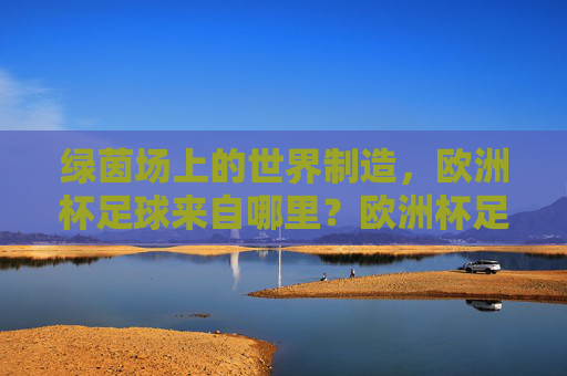 绿茵场上的世界制造,欧洲杯足球来自哪里?欧洲杯足球,绿茵场上的世界制造溯源