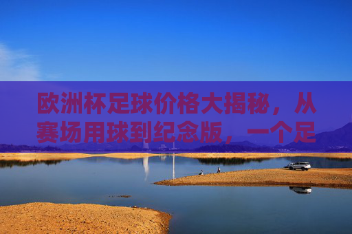 欧洲杯足球价格大揭秘，从赛场用球到纪念版，一个足球到底值多少？欧洲杯足球价格大揭秘，从赛场用球到纪念版，一个球值多少？