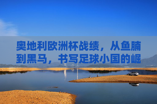 奥地利欧洲杯战绩,从鱼腩到黑马,书写足球小国的崛起之路,奥地利欧洲杯,从鱼腩到黑马,足球小国崛起之路