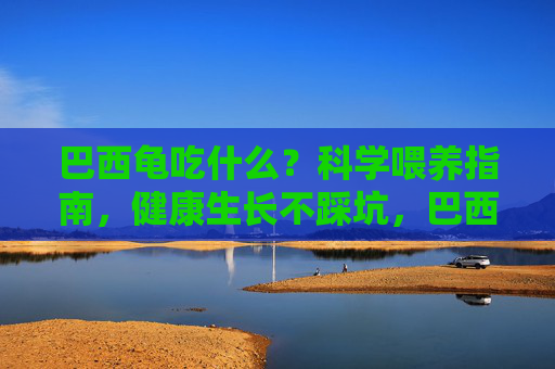 巴西龟吃什么?科学喂养指南,健康生长不踩坑,巴西龟科学喂养指南,健康生长不踩坑