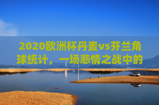 2020欧洲杯丹麦vs芬兰角球统计,一场悲情之战中的攻防密码,2020欧洲杯丹麦vs芬兰,悲情之战的角球攻防密码