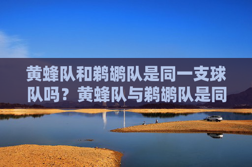 黄蜂队和鹈鹕队是同一支球队吗?黄蜂队与鹈鹕队是同一支球队吗?