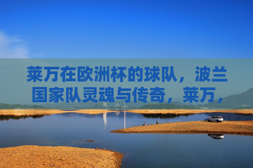 莱万在欧洲杯的球队，波兰国家队灵魂与传奇，莱万，波兰国家队在欧洲杯的灵魂与传奇