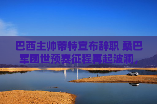 巴西主帅蒂特宣布辞职 桑巴军团世预赛征程再起波澜，巴西主帅蒂特辞职 桑巴军团世预赛再起波澜