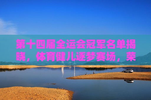 第十四届全运会冠军名单揭晓，体育健儿逐梦赛场，荣耀时刻铸就辉煌，第十四届全运会冠军名单揭晓 荣耀时刻铸就辉煌