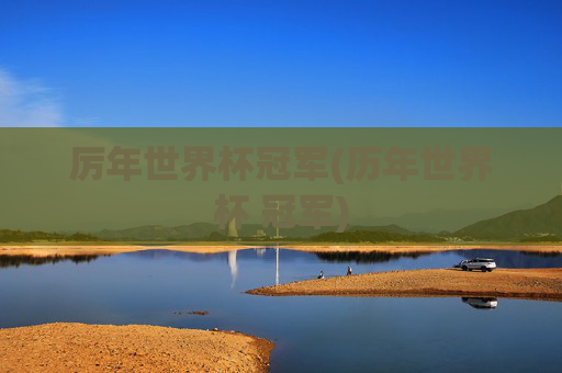 厉年世界杯冠军(历年世界杯 冠军)