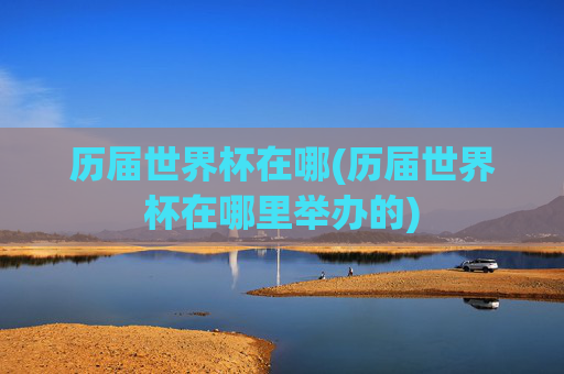 历届世界杯在哪(历届世界杯在哪里举办的)