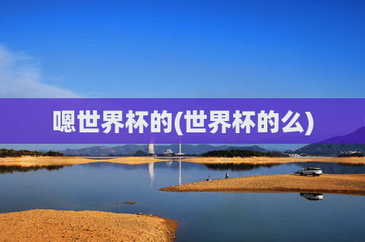 嗯世界杯的(世界杯的么)