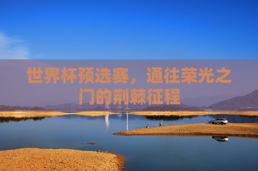世界杯预选赛,通往荣光之门的荆棘征程