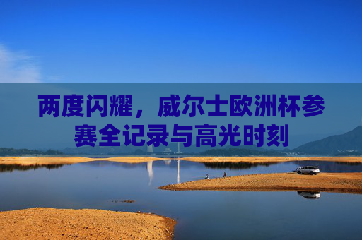 两度闪耀,威尔士欧洲杯参赛全记录与高光时刻