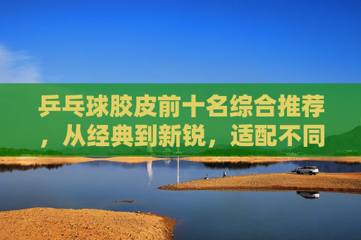 乒乓球胶皮前十名综合推荐,从经典到新锐,适配不同打法的性能之选,乒乓球胶皮前十名综合推荐,经典新锐兼顾,适配多打法性能之选