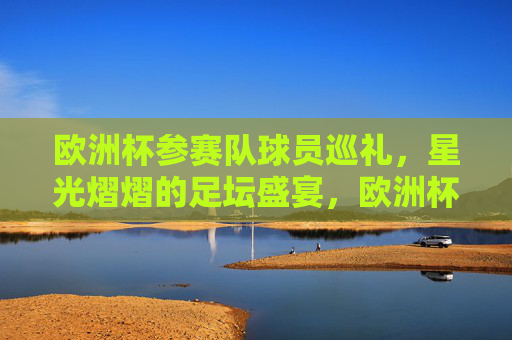 欧洲杯参赛队球员巡礼,星光熠熠的足坛盛宴,欧洲杯球员巡礼,星光熠熠的足坛盛宴