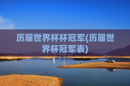 历届世界杯杯冠军(历届世界杯冠军表)