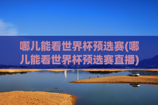 哪儿能看世界杯预选赛(哪儿能看世界杯预选赛直播)