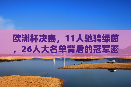 欧洲杯决赛，11人驰骋绿茵，26人大名单背后的冠军密码，欧洲杯决赛，11人驰骋绿茵，26人名单背后的冠军密码