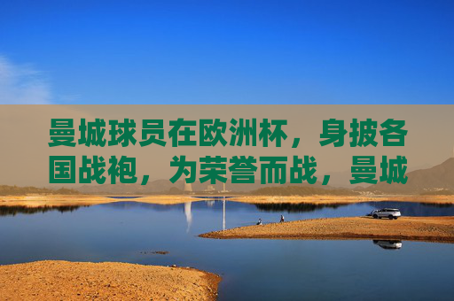 曼城球员在欧洲杯,身披各国战袍,为荣誉而战,曼城球员欧洲杯,身披各国战袍,为荣誉而战