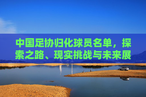 中国足协归化球员名单，探索之路、现实挑战与未来展望，中国足协归化球员名单，探索之路、现实挑战与未来展望