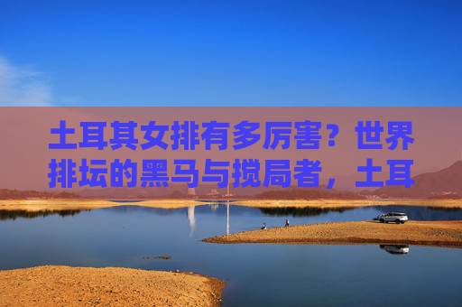 土耳其女排有多厉害?世界排坛的黑马与搅局者,土耳其女排,世界排坛的黑马与搅局者