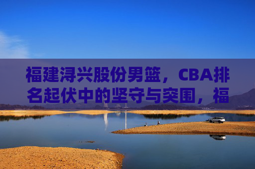 福建浔兴股份男篮，CBA排名起伏中的坚守与突围，福建浔兴股份男篮，CBA起伏中的坚守与突围